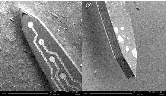 sonda neural microscopia eletronica